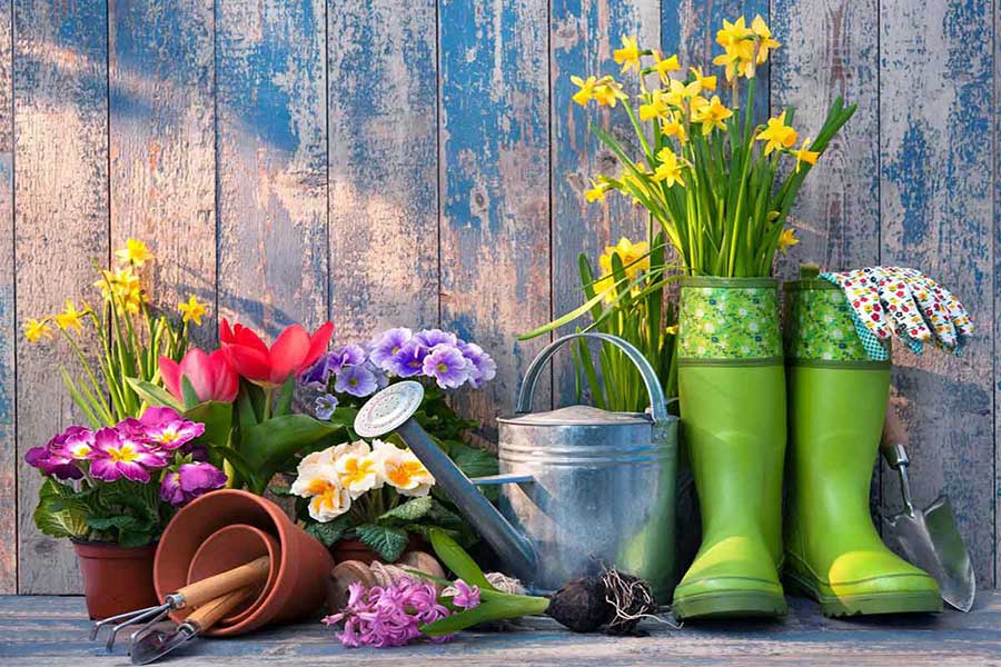 هدیه برای عاشقان طبیعت